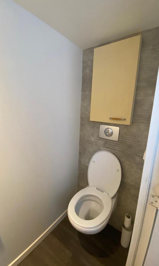 T3 En Duplex Pour 6 Pers Bien Place Terrasse Et Parking Inclus Apartman Toulouse Kültér fotó