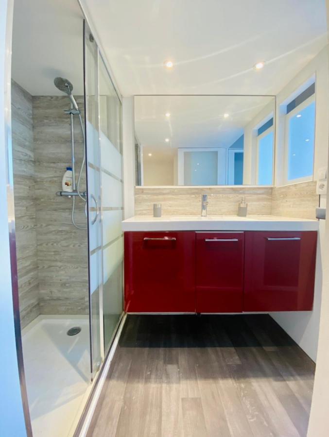 T3 En Duplex Pour 6 Pers Bien Place Terrasse Et Parking Inclus Apartman Toulouse Kültér fotó