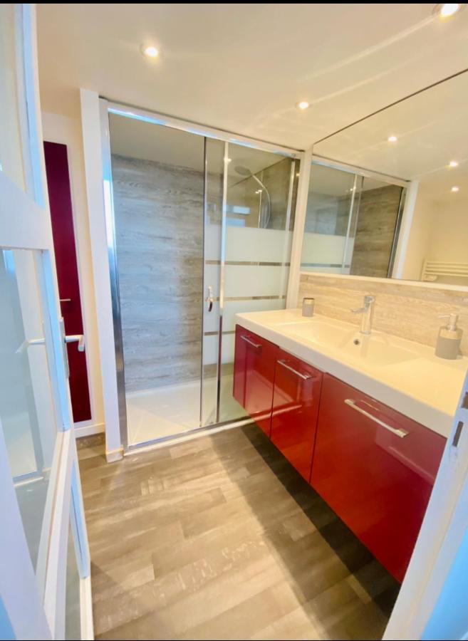 T3 En Duplex Pour 6 Pers Bien Place Terrasse Et Parking Inclus Apartman Toulouse Kültér fotó